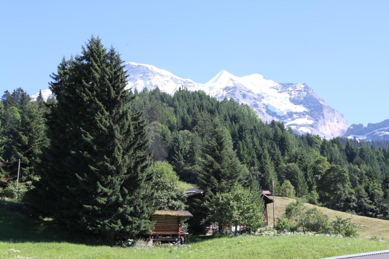 Apartament Staubbachbaenkli Wengen Zewnętrze zdjęcie