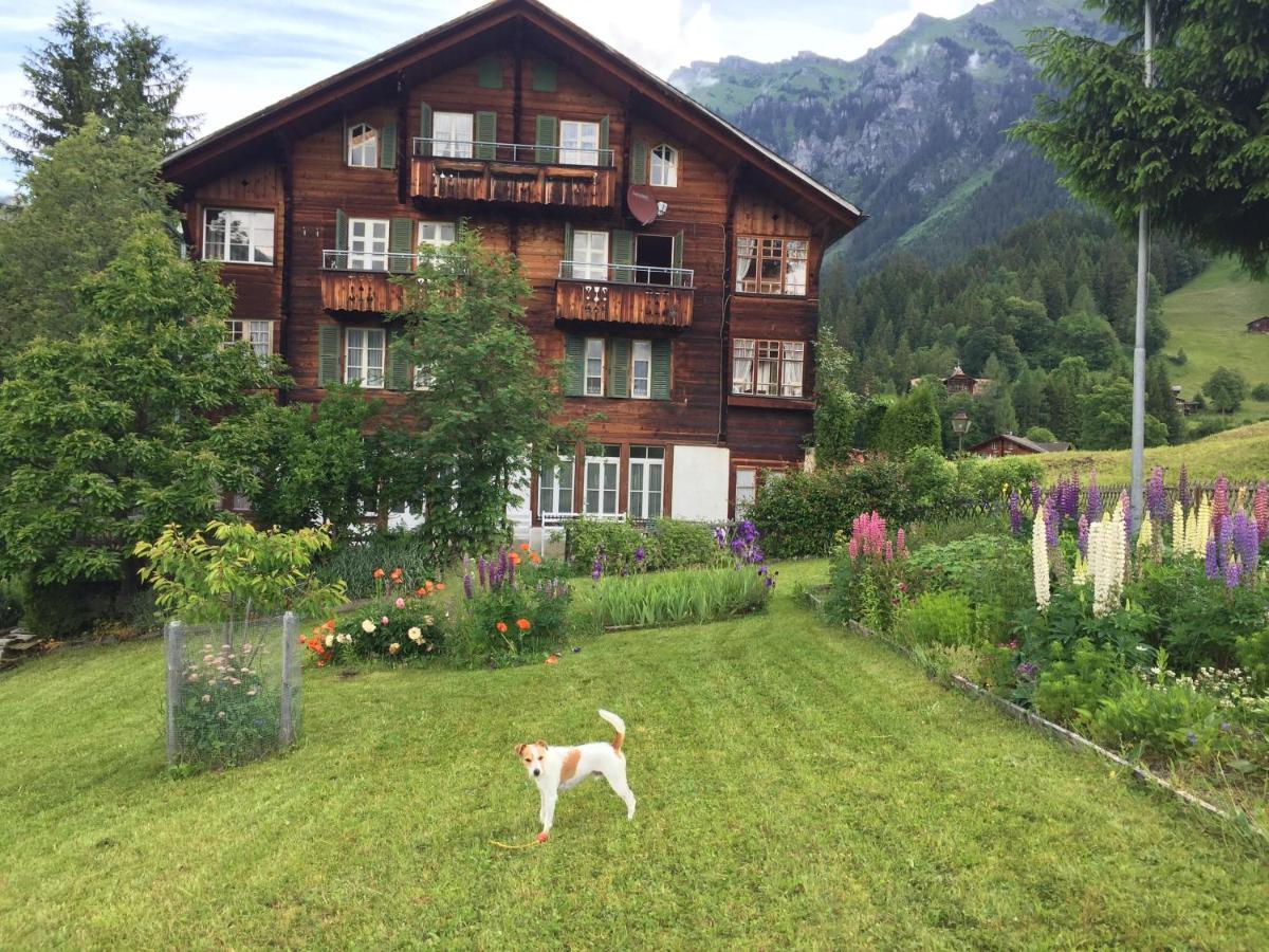 Apartament Staubbachbaenkli Wengen Zewnętrze zdjęcie