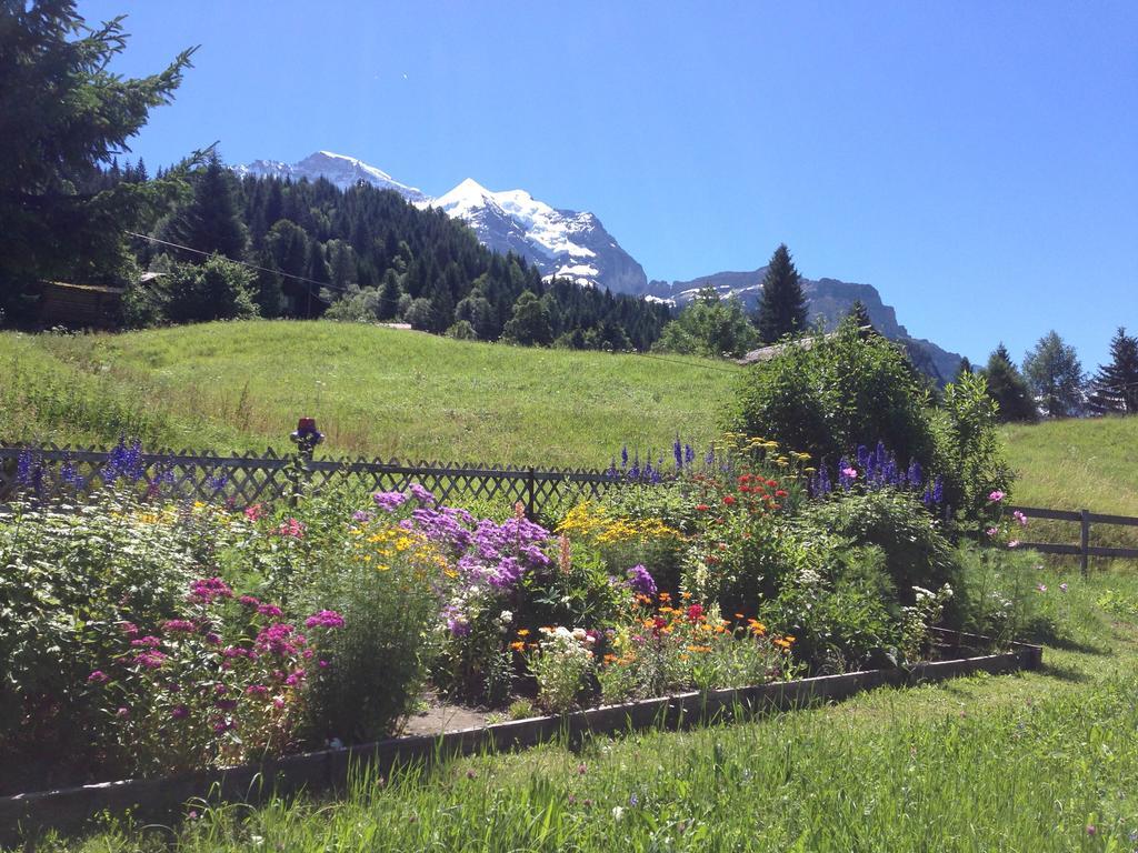 Apartament Staubbachbaenkli Wengen Zewnętrze zdjęcie