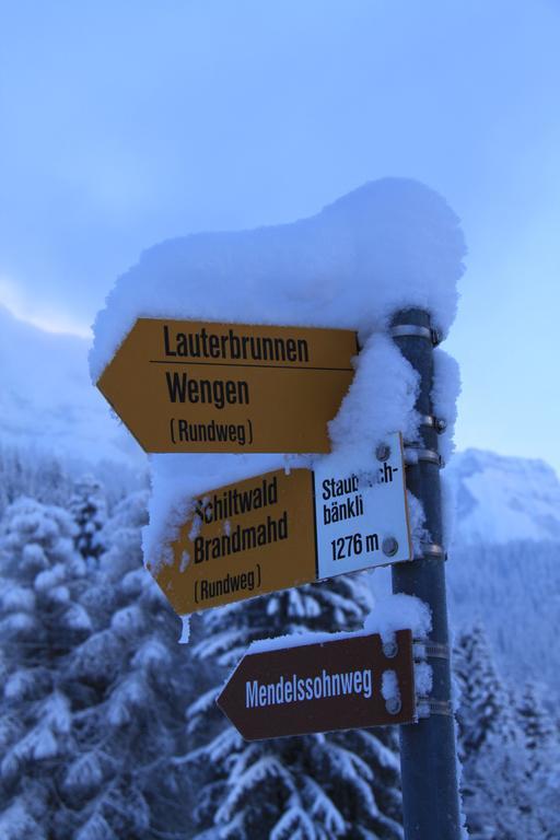 Apartament Staubbachbaenkli Wengen Zewnętrze zdjęcie