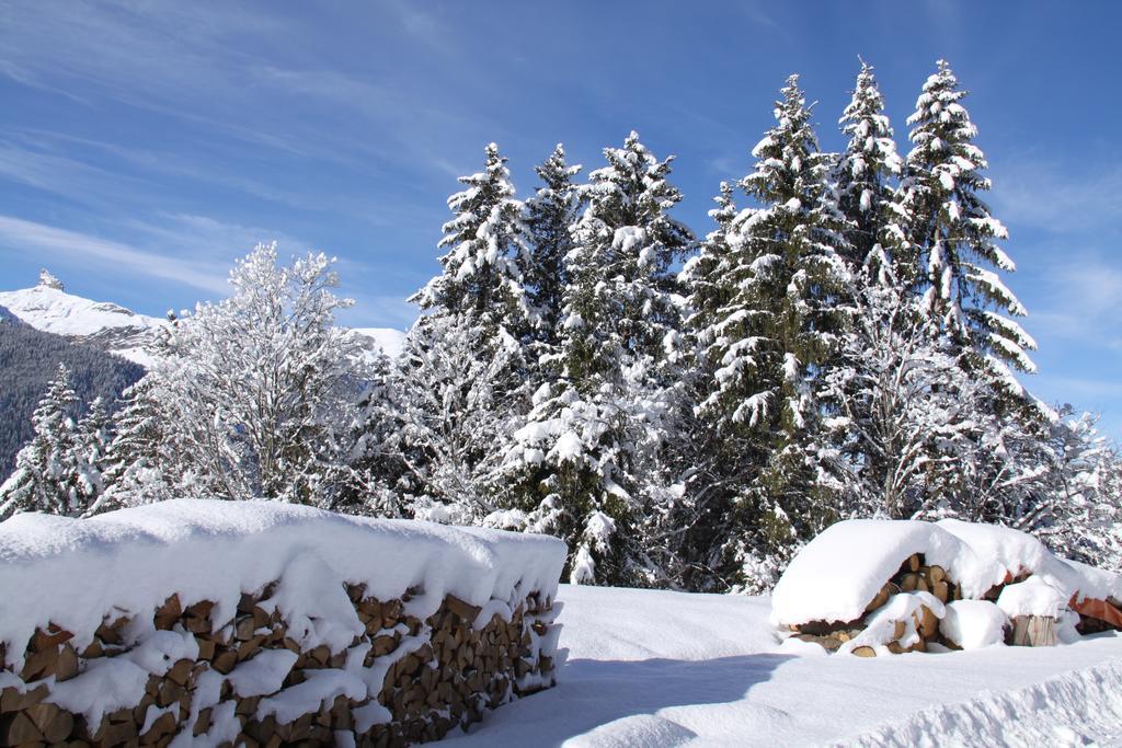 Apartament Staubbachbaenkli Wengen Zewnętrze zdjęcie