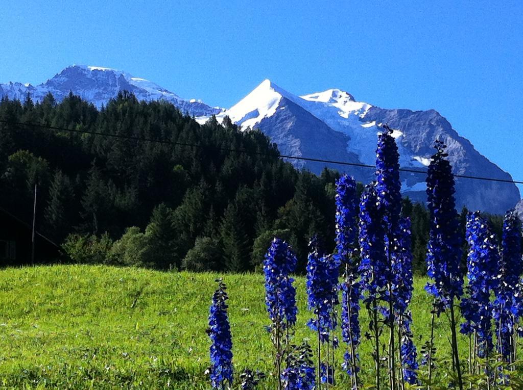 Apartament Staubbachbaenkli Wengen Zewnętrze zdjęcie