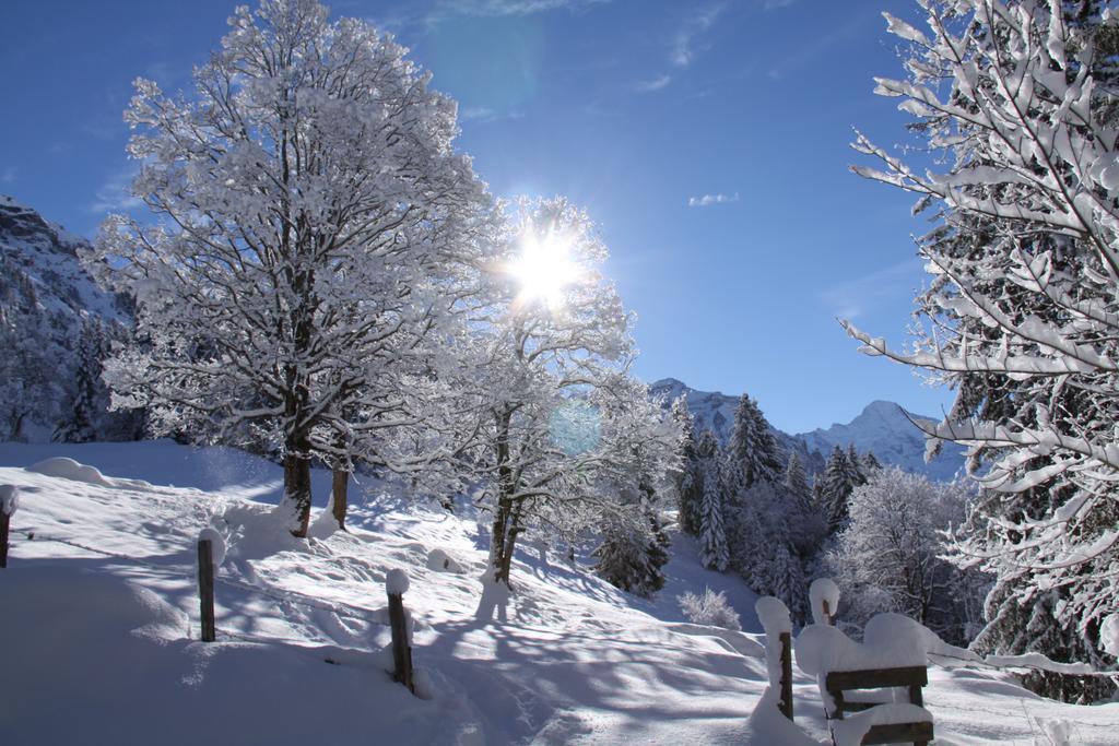 Apartament Staubbachbaenkli Wengen Zewnętrze zdjęcie