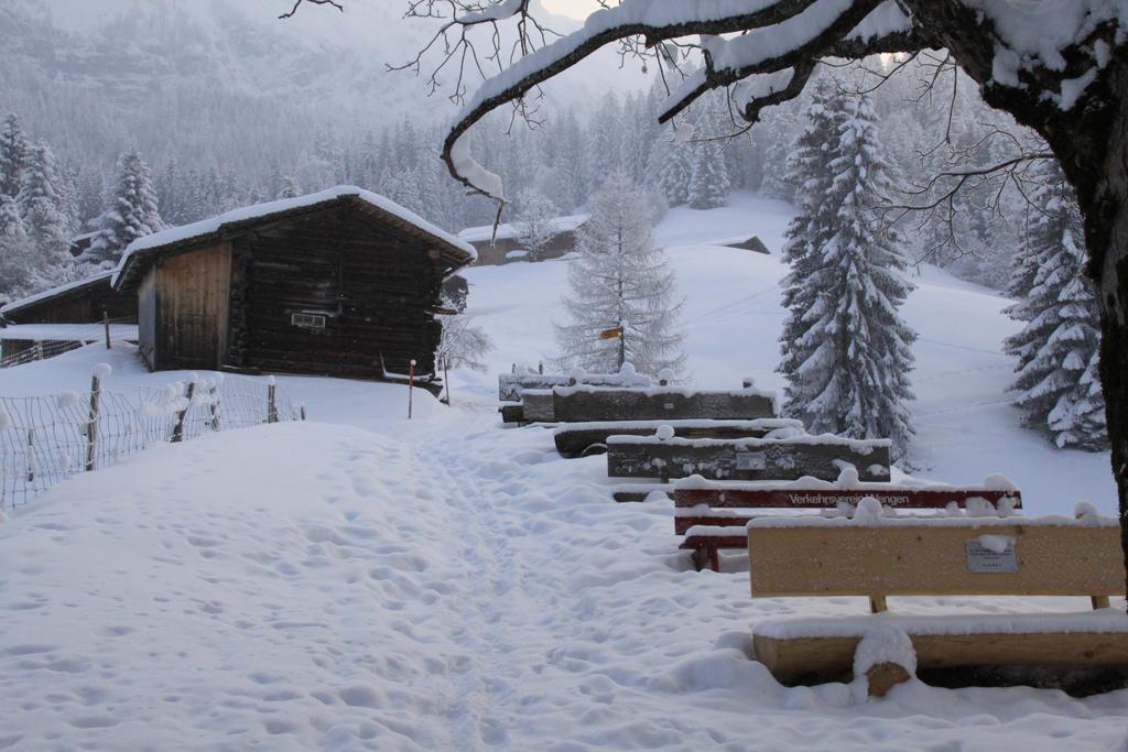 Apartament Staubbachbaenkli Wengen Zewnętrze zdjęcie