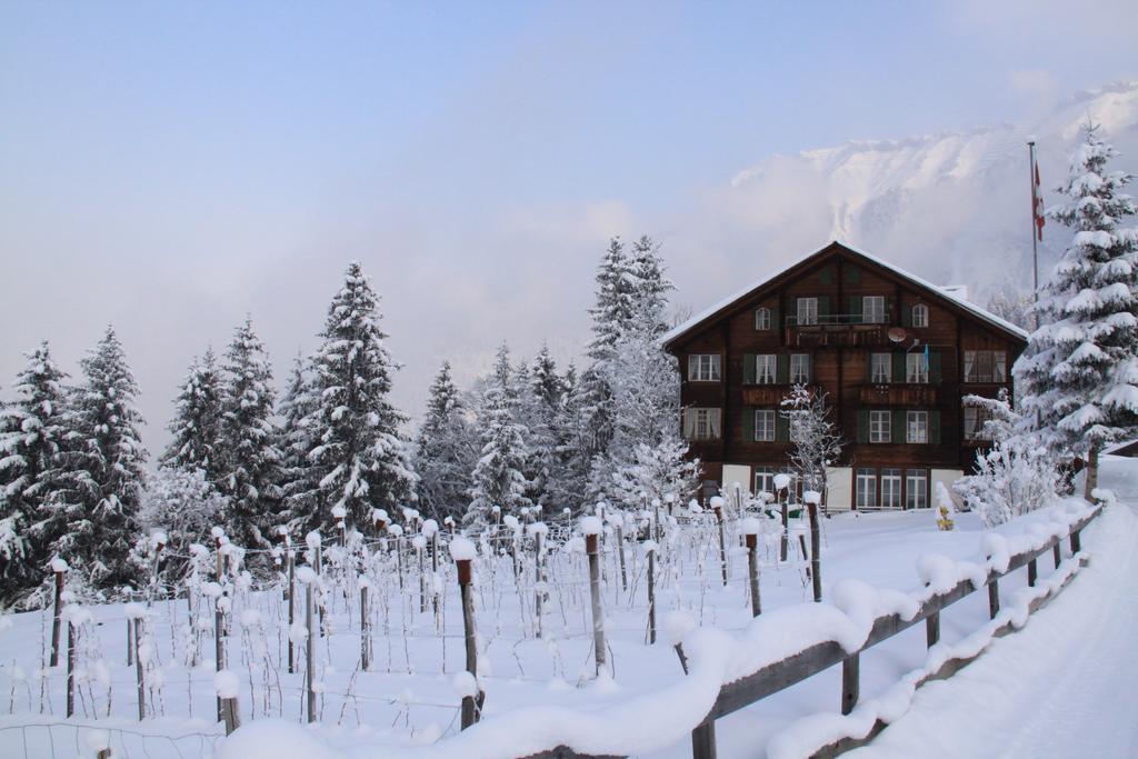 Apartament Staubbachbaenkli Wengen Zewnętrze zdjęcie
